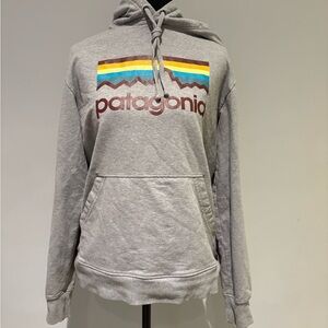 Patagonia Gray Hoodie